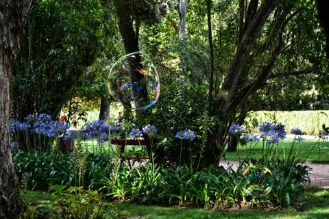 Two Bubbles Stock Photos