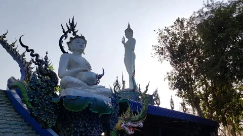 Two Buddha statues standing gracefully Stockbeeldmateriaal 264102840