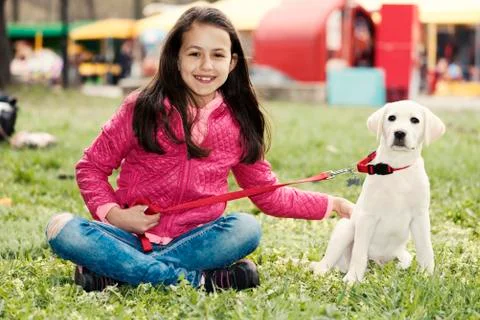 Two Buddies Grass Spring Time Season Dog Stock Photos