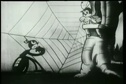 Two bugs in love Stock Footage