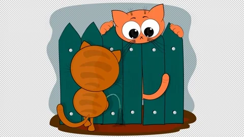 Two bully cats on a blank background. Stock Footage 149073468