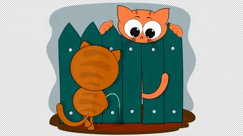 Two bully cats on a white and transparent background. Stock Footage 149073578