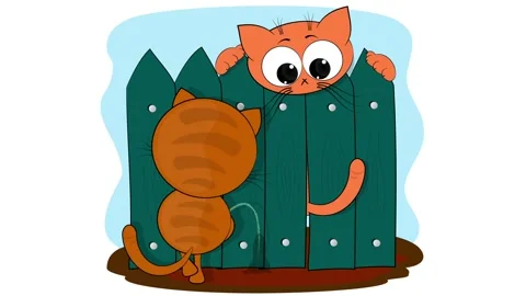 Two bully cats on a white background. Stock Footage 149073402