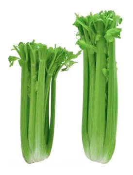Two bunches of celery Stock Photos