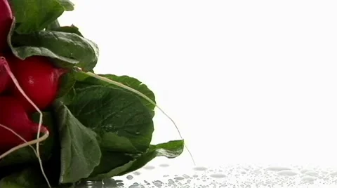 Two bunches of radishes Stock Footage 8574728