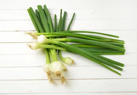 Two bunches of spring onion Stock Photos