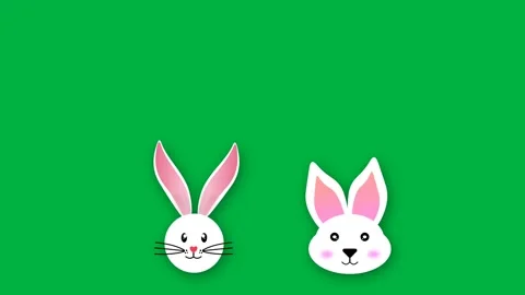 Two bunny presenting from broken egg animation on green screen Stock Footage 266787626