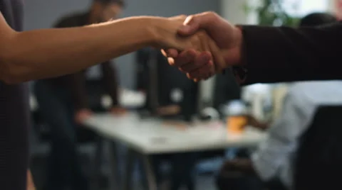 Two business partners handshaking after successful project Stock Footage 68304733