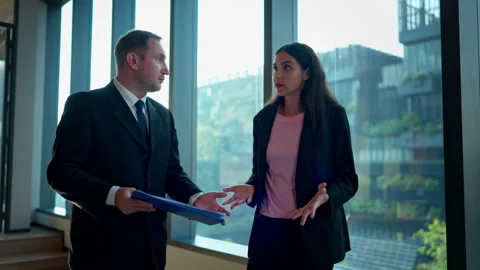Two business people attempted to explain the work they wanted 库存影片 339660432
