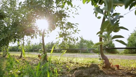 Two businessmen inspect their fields 스톡 동영상 78216015