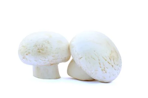 Two button mushrooms isolated Stock Photos
