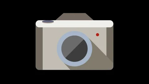 Two cameras animated icon. Transparent background. Stock Footage 107123345