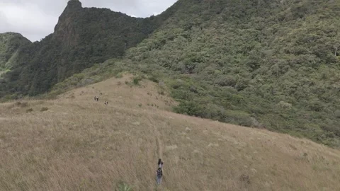 Two campers walk through the tall grass on Picacho Hill in Panama. Stock Footage 343904343