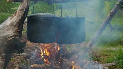 Two camping pots, hang on branch over burning fire Video stock 178473060