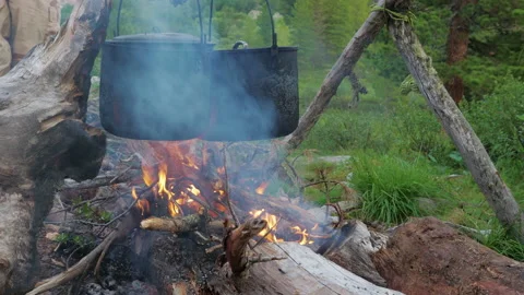 Two camping pots, hang on branch over burning fire Stock Footage 201893108