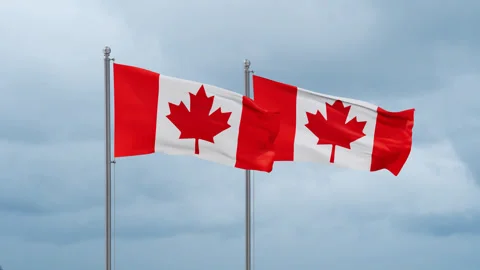 Two Canada flag Stock Footage 252023215
