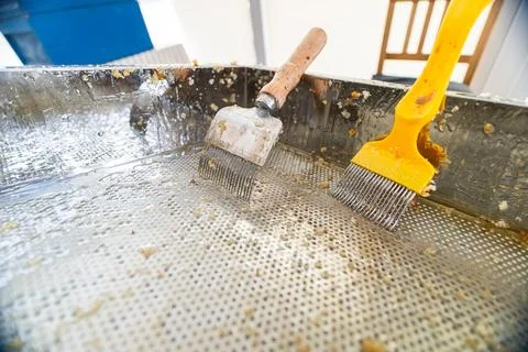 Two Capping Scratchers for Beekeeping Bee Honey in a Gooey Decapping Tray A.. Stock Photos