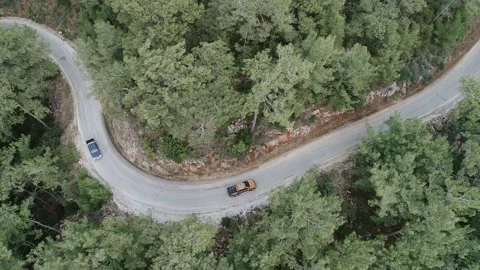 Two car on a mountain forest road Stock Footage 228827727