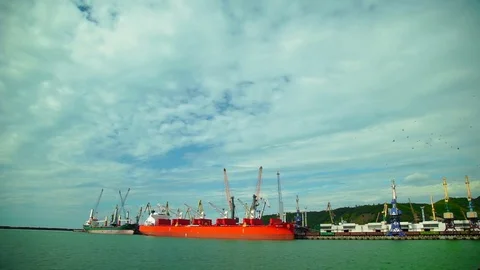 Two Cargo Ship, Red and Green, Loaded in the Port of Cargo.Wide shot Stock Footage 69815372