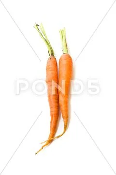 Two carrots Stock Photos