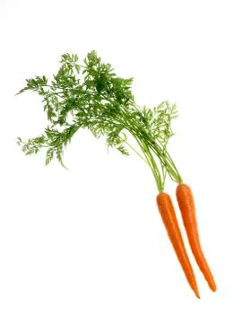 Two carrots on white background Stock Photos