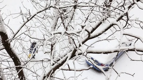 Two cars under a snowfall in a winter park with snow covered trees. top view. Stock Footage 85699041