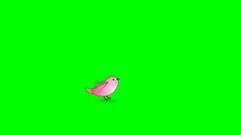 Cartoon Bird Green Screen Stock Video Footage | Royalty Free Cartoon Bird Green  Screen Videos | Pond5