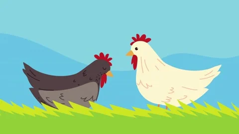 Two cartoon chickens, one dark and one light, in a field animal background Stock Footage 320832054