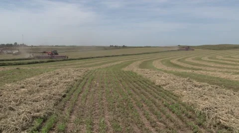 Two Case Tractors Raking Far Shot Stock Footage 40462560