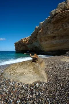 Two cats on beach Foto stock