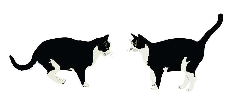 Two cats in love vector illustration isolated. Lovely pet. Stock Illustration