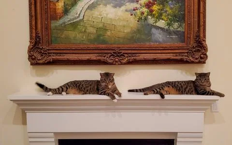 Two Cats On A Mantle Stock Photos