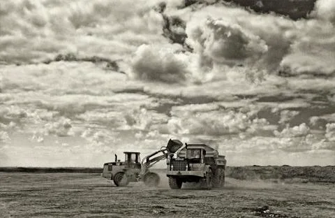 Two cats Stock Photos