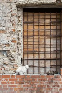 Two cats sitting on the wall Stock Photos