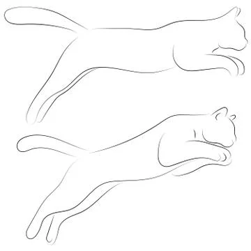Two cats in sketch style. Set of black line cats on white background. Vector Stock Illustration