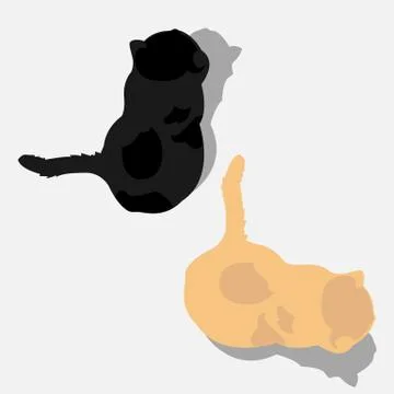 Two cats top view isolated Stock Illustration