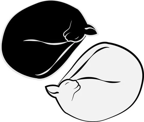 Two cats white and black sleeping curled tail Stock Illustration