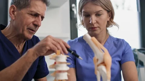 Two caucasian doctors talking and showing on medical models Video stock 174638175