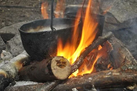 Two cauldrons of cooking mushrooms. Stock Photos