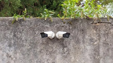 Two CCTV cameras mounted on an old wall, behind a private garden Photos