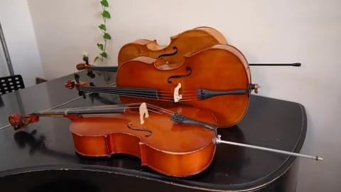 Two cellos resting on black table near plant 動画素材 347813829