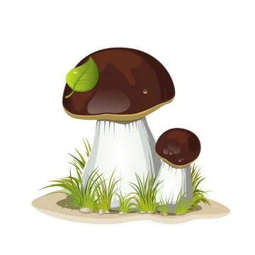 Two ceps isolated on a white background Stock Illustration