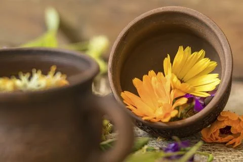 Two ceramic cups of healthy herbal tea with decoction of dry and fresh flowers Stock Photos