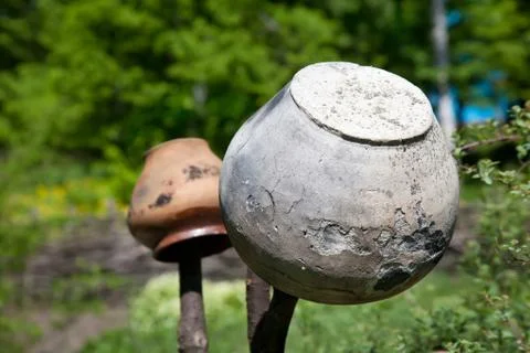 Two ceramic jars on branch Stock Photos
