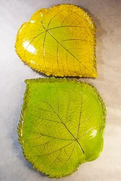Two ceramic leaf plates with botanical imprint green and yellow glaze Stock Photos