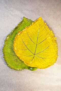 Two ceramic plates with leaf imprint yellow and green glaze decorative Stock Photos