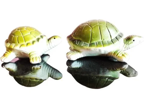 Two ceramic turtles on a reflective surface. Foto stock