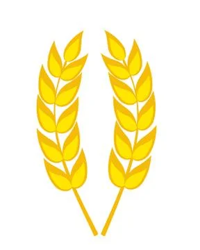 Two cereal ears vector illustration Stock Illustration