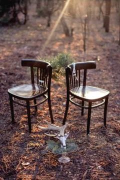 Two chairs in the forest on the ground in the rays of a sunset romantic Foto stock