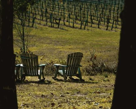 Two Chairs Looking Out Over the Vinyard Foto stock